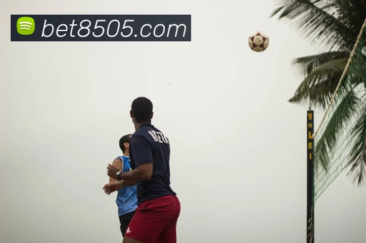 对战数据统计